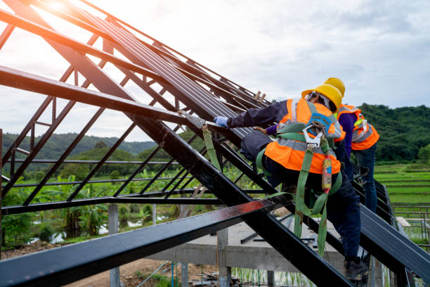 Best Roof Gutter Cleaning  in Dillingham, AK