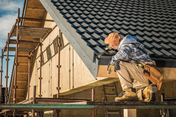 Best Flat Roof Repair Services  in Dillingham, AK