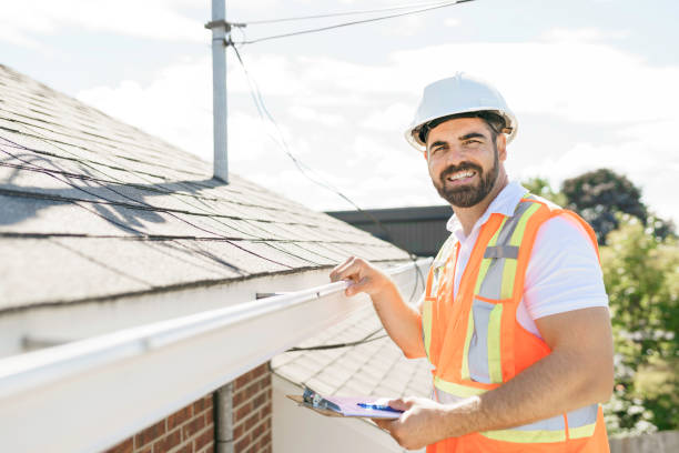 Best Shingle Roofing Installation  in Dillingham, AK
