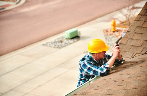 Sealant for Roof in Dillingham, AK