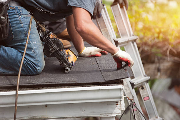 Best Storm Damage Roof Repair  in Dillingham, AK