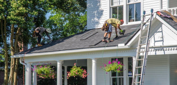 Roof Gutter Cleaning in Dillingham, AK