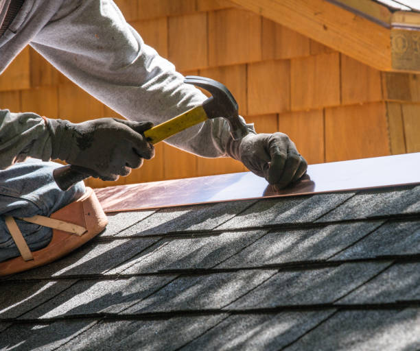 Best Metal Roofing Contractor  in Dillingham, AK